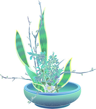 清新盆栽植物插畫