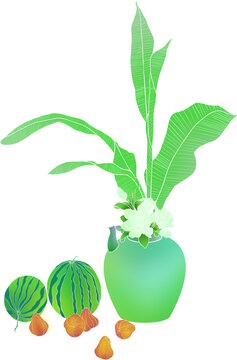 綠植與水果的清新插畫