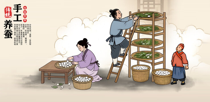 手繪插畫養(yǎng)蠶