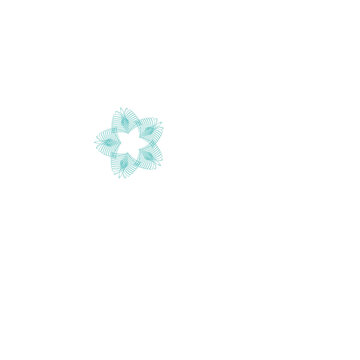 花朵變幻