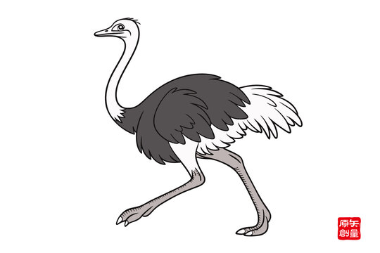 黑白線條風(fēng)行走鴕鳥(niǎo)插畫(huà)