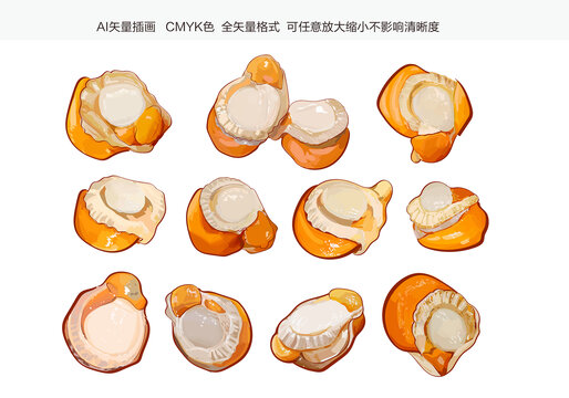扇貝肉插畫(huà)矢量素材