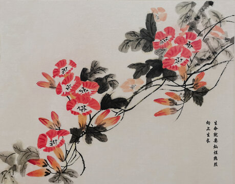 寫(xiě)意凌霄花國(guó)畫(huà)