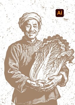 老農(nóng)捧大白菜插畫
