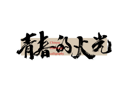 青春的火光