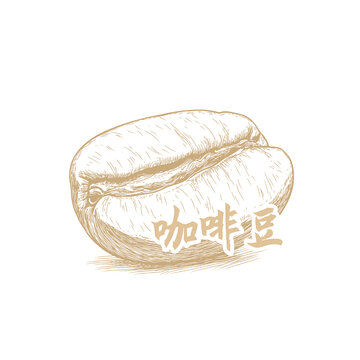 手繪風(fēng)格咖啡豆插畫