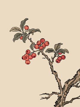 山楂國潮插畫