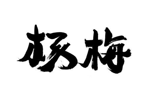 手寫(xiě)書(shū)法字體楊梅