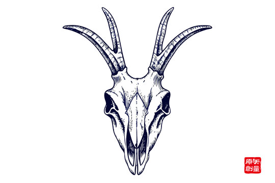 獨(dú)特的雙角動物頭骨圖案
