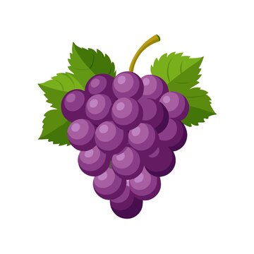卡通風(fēng)格紫色葡萄插畫