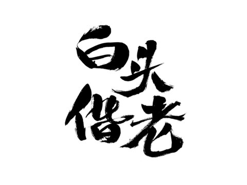 手寫書法白頭偕老