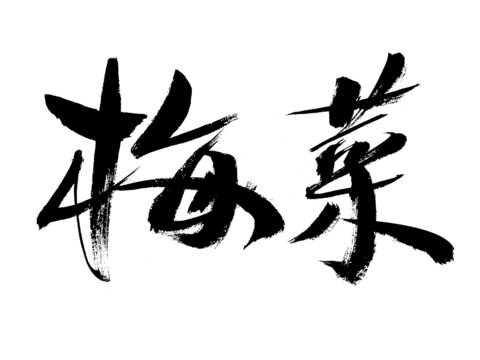 毛筆手寫(xiě)梅菜書(shū)法字