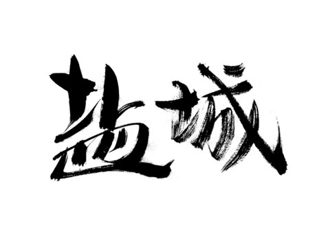 鹽城書法藝術(shù)字體展示