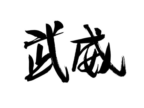 武威毛筆書法藝術(shù)字