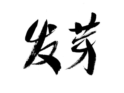 書法字體
