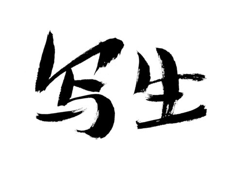 手寫書法字體寫生