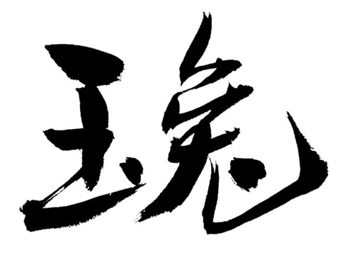 書法藝術(shù)之玉兔二字