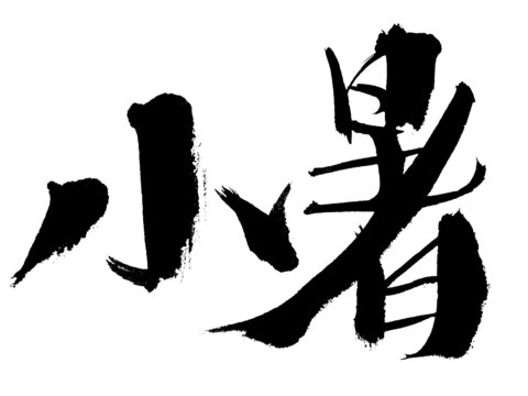 小暑書法字體藝術(shù)呈現(xiàn)