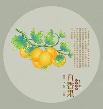 黃金百香果插畫元素
