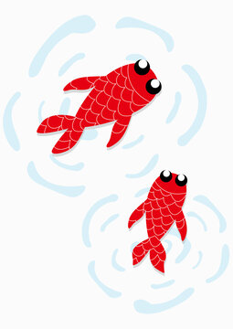 金魚(yú)