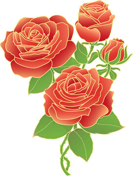 玫瑰花矢量插畫
