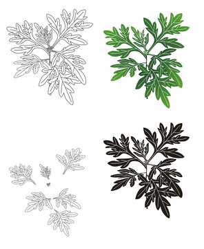 艾草植物枝葉圖案