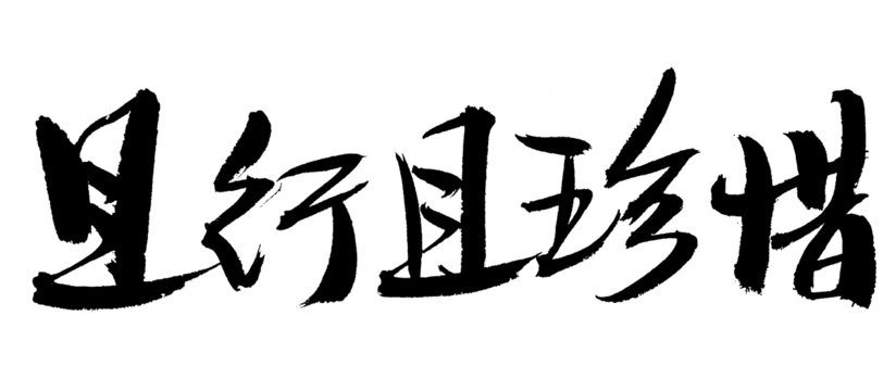 書法字體且行且珍惜