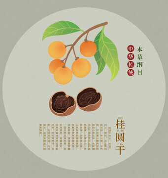 傳統(tǒng)桂圓干本草綱目風(fēng)