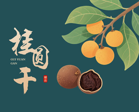 桂圓干插畫手繪插畫包裝