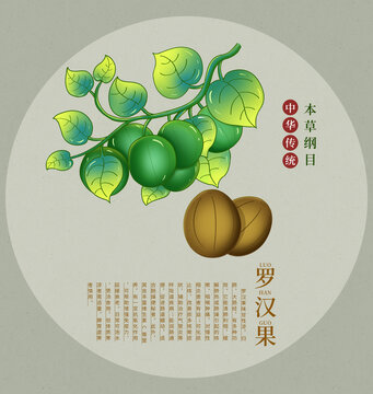 傳統(tǒng)羅漢果本草綱目插畫
