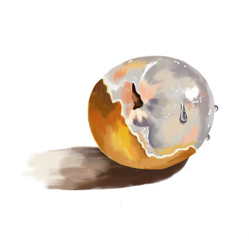 桂圓