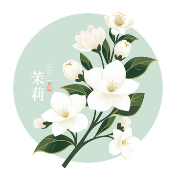 手繪矢量茉莉花商用圖案插畫設(shè)計(jì)海報(bào)包裝