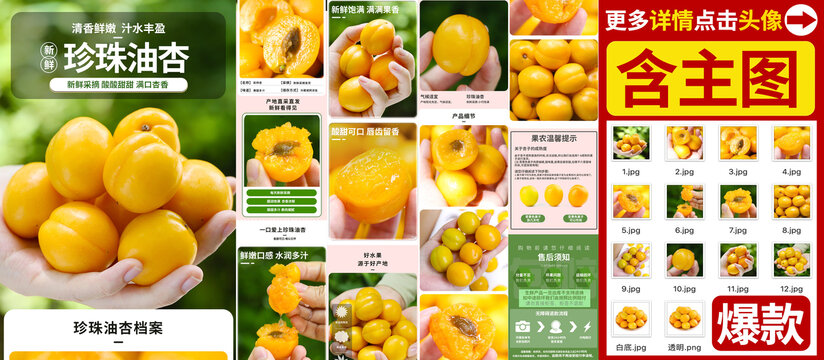珍珠油杏詳情