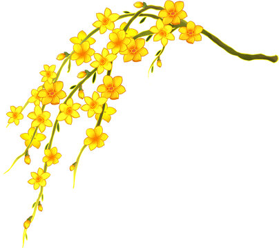 一只迎春花