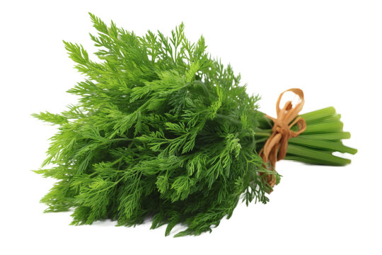 [免摳素材]新鮮芫荽束特寫
