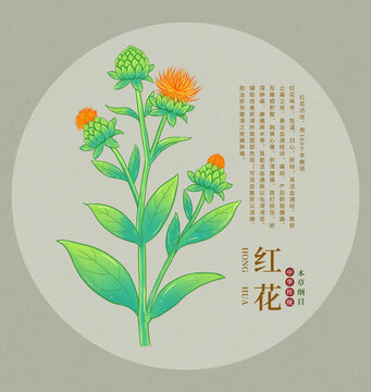 手繪紅花植物插畫