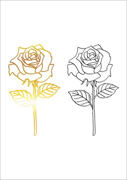 雙色線條玫瑰花圖案素材