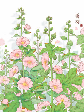 原創(chuàng)手繪水彩風蜀葵插畫