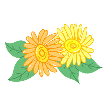 手繪雙朵鮮艷小花插畫