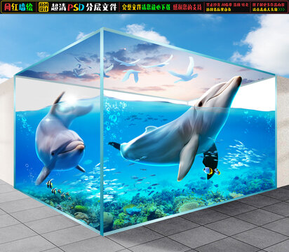 3D海豚立體畫