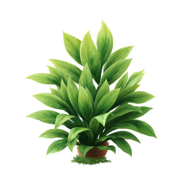 [免摳素材]盆栽綠色植物