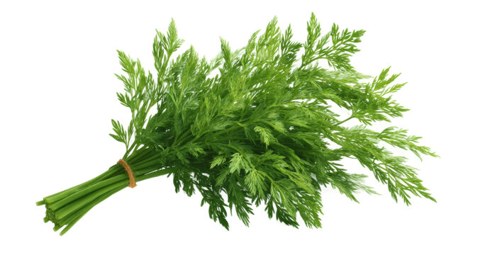 [免摳素材]新鮮芹菜束特寫