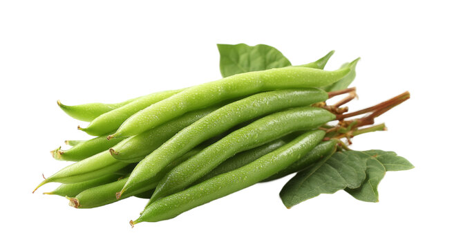 [免摳素材]新鮮綠豆芽特寫圖片