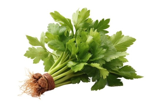 [免摳素材]新鮮芹菜束特寫