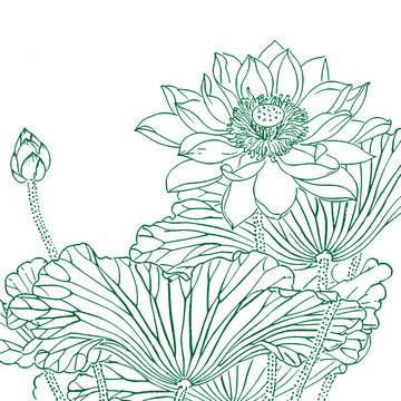 蓮花花朵手繪插畫素描底紋包裝設(shè)計矢量圖
