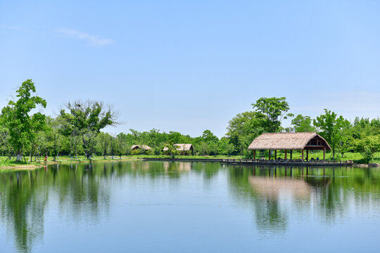 湖畔綠蔭下的寧靜景致