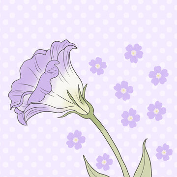 淡紫色花卉插畫(huà)圖案