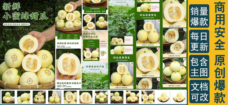 小蜜蜂甜瓜詳情