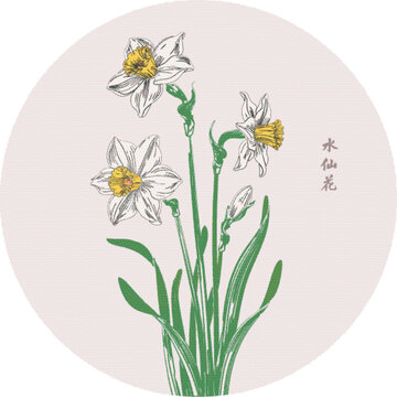 手繪清新水仙花插畫矢量分層素材