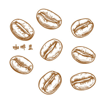 手繪風(fēng)格咖啡豆圖案素材